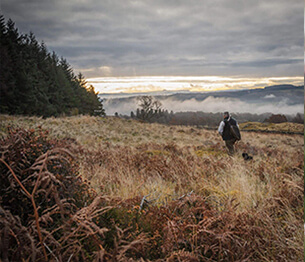 pheasant-shooting-3