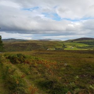 image 4093